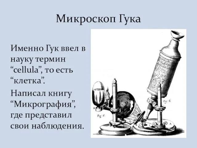 Именно Гук ввел в науку термин “cellula”, то есть “клетка”. Написал книгу