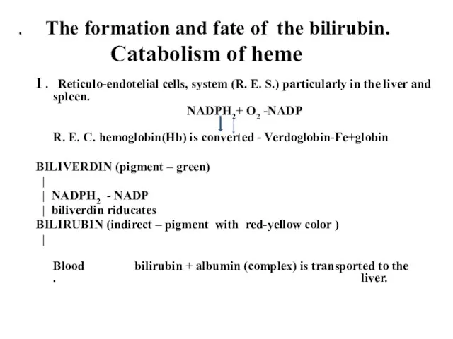 . The formation and fate of the bilirubin. Catabolism of heme I