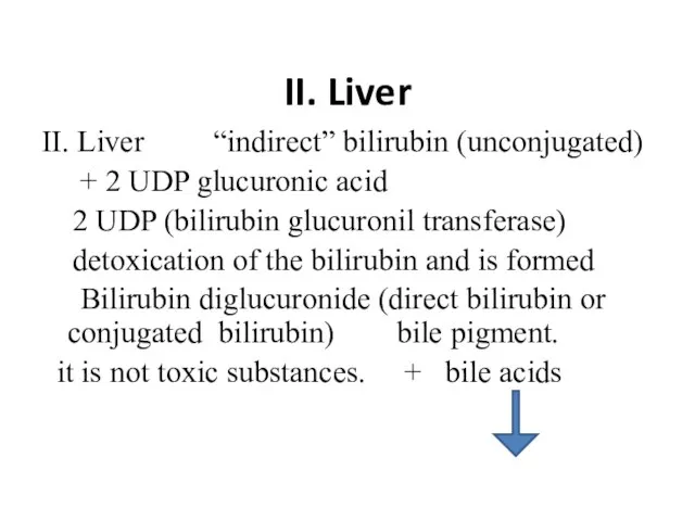II. Liver II. Liver “indirect” bilirubin (unconjugated) + 2 UDP glucuronic acid