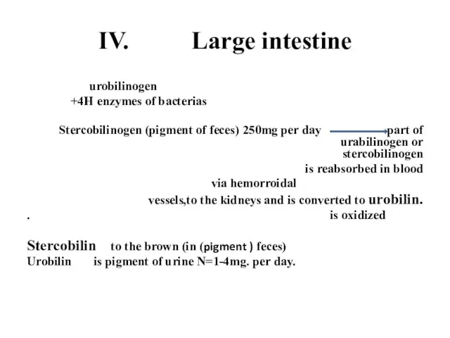 IV. Large intestine urobilinogen +4H enzymes of bacterias Stercobilinogen (pigment of feces)