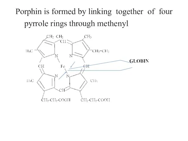 Porphin is formed by linking together of four pyrrole rings through methenyl bridges.