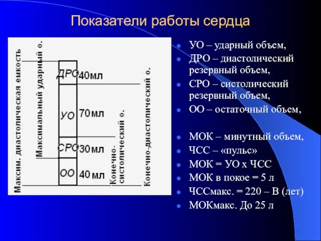 Показатели работы сердца УО – ударный объем, ДРО – диастолический резервный объем,