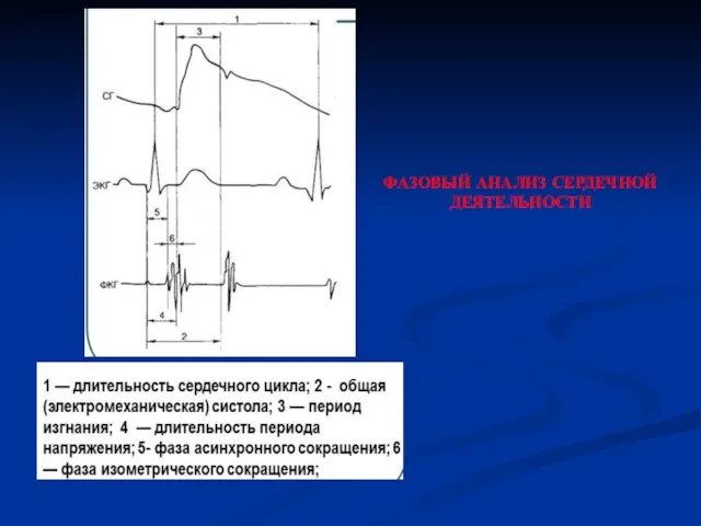 ФАЗОВЫЙ АНАЛИЗ СЕРДЕЧНОЙ ДЕЯТЕЛЬНОСТИ