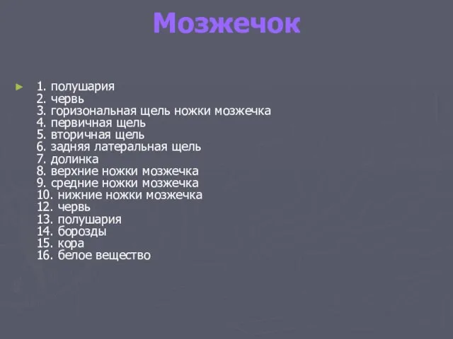 Мозжечок 1. полушария 2. червь 3. горизональная щель ножки мозжечка 4. первичная