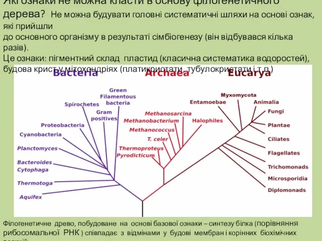 Філогенетичне древо, побудоване на основі базової ознаки – синтезу білка (порівняння рибосомальної