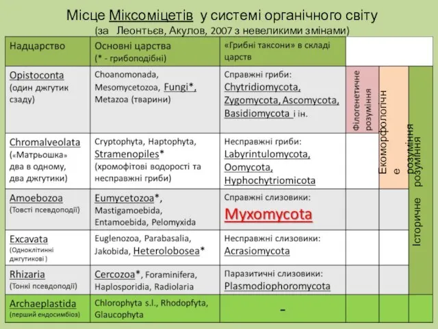 Місце Міксоміцетів у системі органічного світу (за Леонтьєв, Акулов, 2007 з невеликими