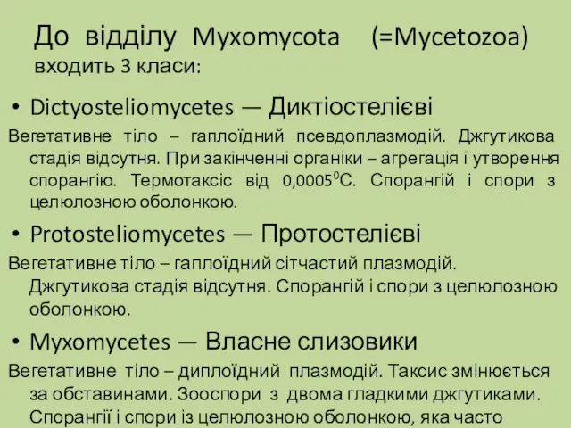 До відділу Myxomycota (=Mycetozoa) входить 3 класи: Dictyosteliomycetes — Диктіостелієві Вегетативне тіло