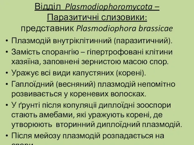 Відділ Plasmodiophoromycota – Паразитичні слизовики: представник Plasmodiophora brassicae Плазмодій внутріклітинний (паразитичний). Замість