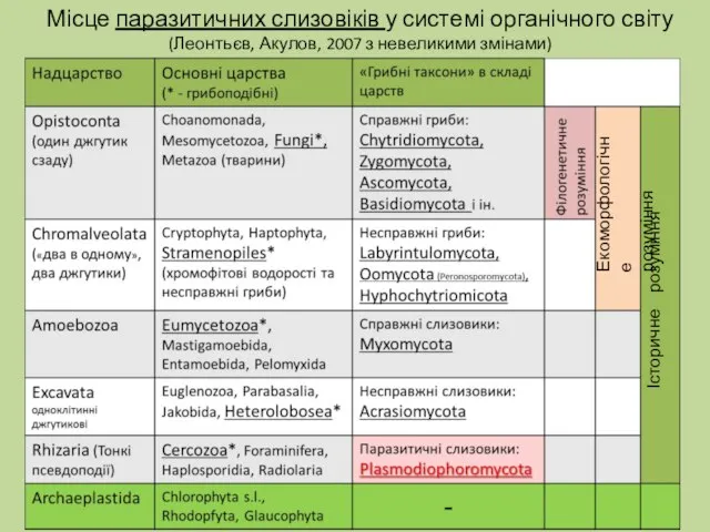 Місце паразитичних слизовіків у системі органічного світу (Леонтьєв, Акулов, 2007 з невеликими