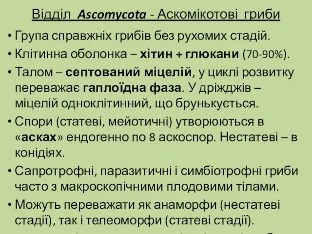 Відділ Ascomycota - Аскомікотові гриби Група справжніх грибів без рухомих стадій. Клітинна