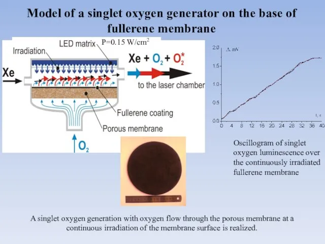 Model of a singlet oxygen generator on the base of fullerene membrane