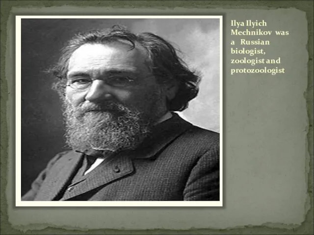 Ilya Ilyich Mechnikov was a Russian biologist, zoologist and protozoologist