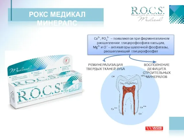 РОКС МЕДИКАЛ МИНЕРАЛС Ca2+, PO43- – появляются при ферментативном расщеплении глицерофосфата кальция,