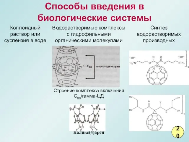 Способы введения в биологические системы 20