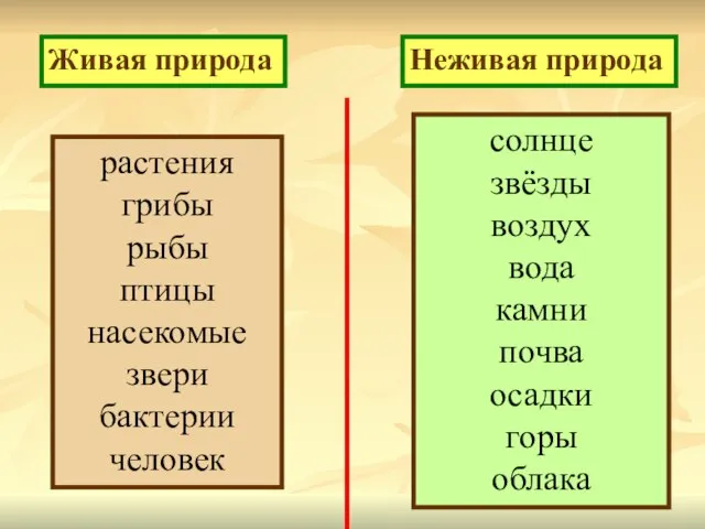 Живая природа Неживая природа солнце звёзды воздух вода камни почва осадки горы