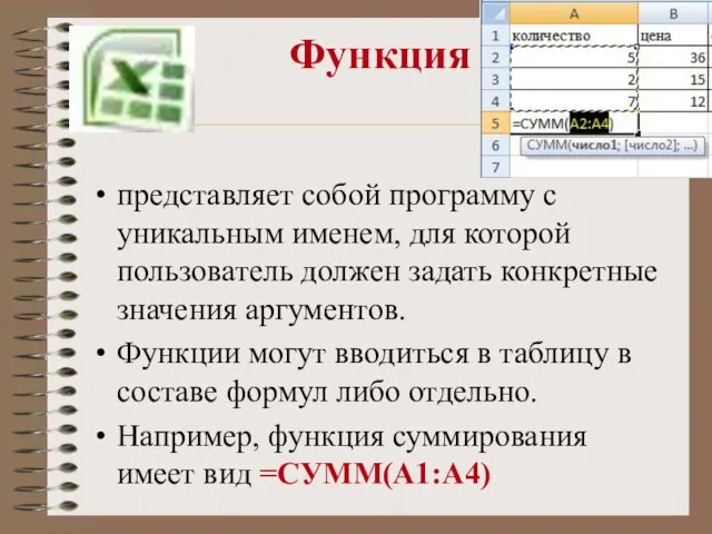 Функция представляет собой программу с уникальным именем, для которой пользователь должен задать