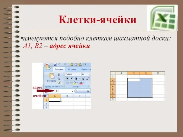 Клетки-ячейки именуются подобно клеткам шахматной доски: А1, В2 – адрес ячейки