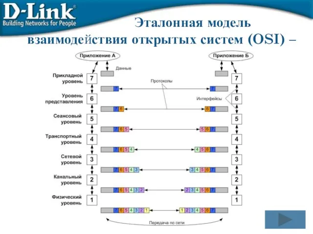 Эталонная модель взаимодействия открытых систем (OSI) –