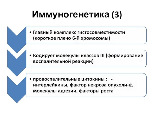 Иммуногенетика (3)