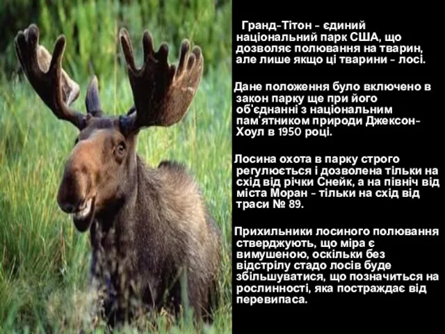 Гранд-Тітон - єдиний національний парк США, що дозволяє полювання на тварин, але