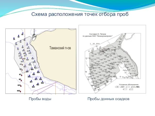 Схема расположения точек отбора проб Пробы донных осадков Пробы воды