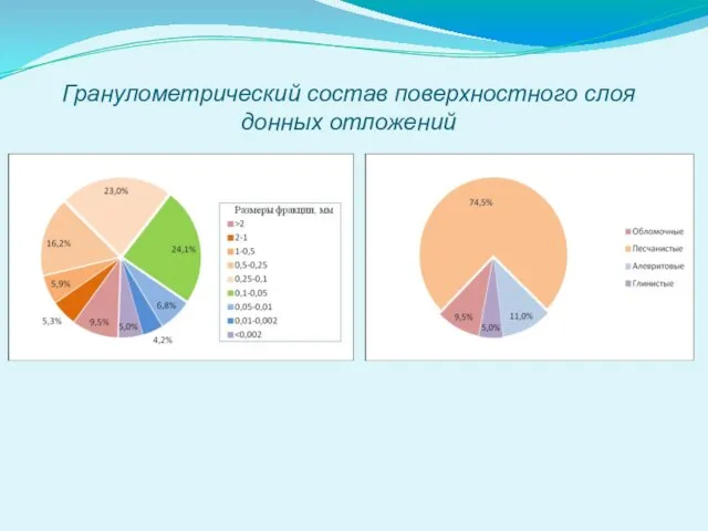 Гранулометрический состав поверхностного слоя донных отложений