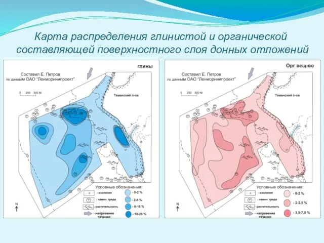 Карта распределения глинистой и органической составляющей поверхностного слоя донных отложений