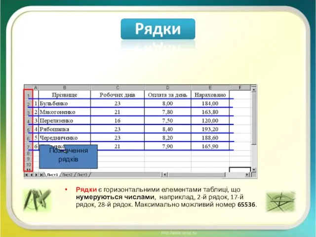 Рядки є горизонтальними елементами таблиці, що нумеруються числами, наприклад, 2-й рядок, 17-й