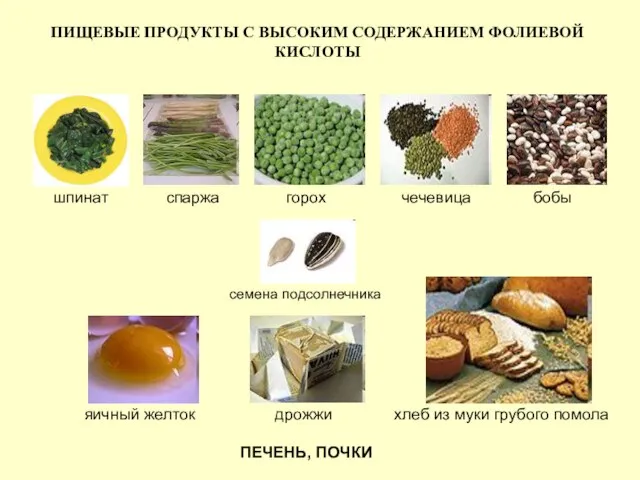 ПИЩЕВЫЕ ПРОДУКТЫ С ВЫСОКИМ СОДЕРЖАНИЕМ ФОЛИЕВОЙ КИСЛОТЫ шпинат спаржа горох чечевица бобы