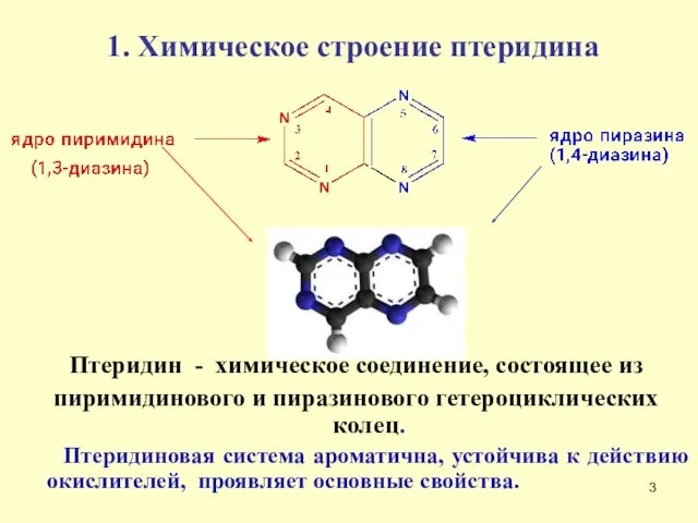 1. Химическое строение птеридина Птеридин - химическое соединение, состоящее из пиримидинового и