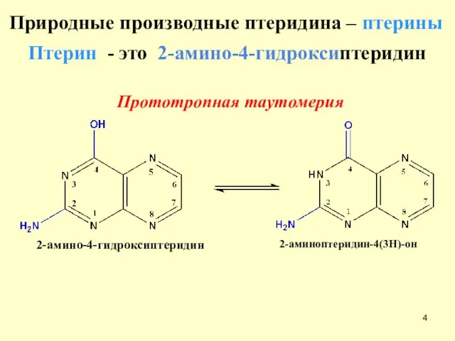 Природные производные птеридина – птерины Птерин - это 2-амино-4-гидроксиптеридин 2-амино-4-гидроксиптеридин 2-аминоптеридин-4(3H)-он Прототропная таутомерия