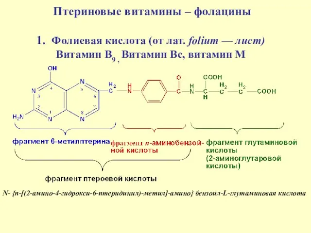 Птериновые витамины – фолацины 1. Фолиевая кислота (от лат. folium — лист)