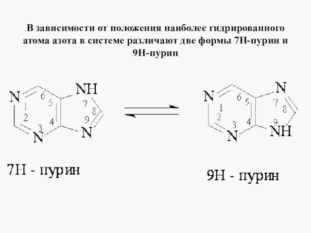 В зависимости от положения наиболее гидрированного атома азота в системе различают две формы 7Н-пурин и 9Н-пурин