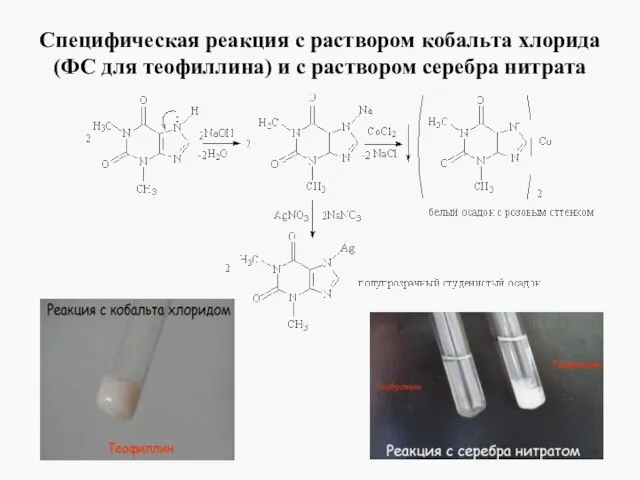 Специфическая реакция с раствором кобальта хлорида (ФС для теофиллина) и с раствором серебра нитрата