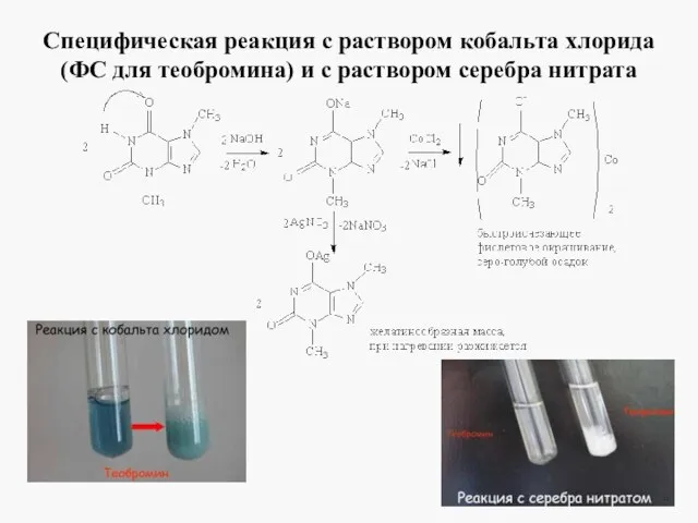 Специфическая реакция с раствором кобальта хлорида (ФС для теобромина) и с раствором серебра нитрата