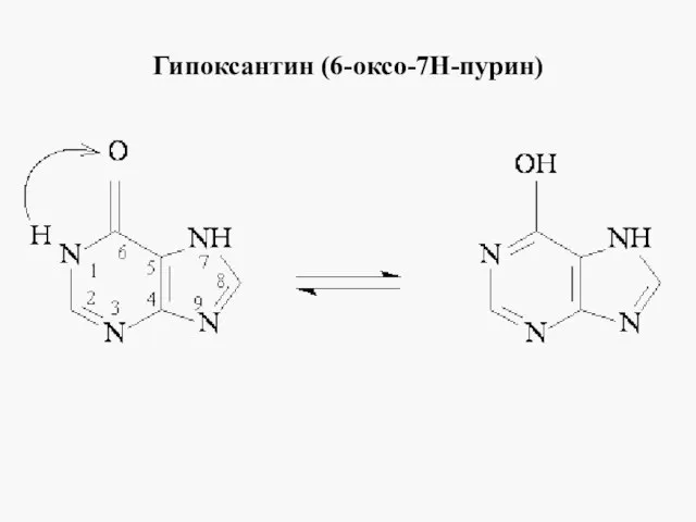 Гипоксантин (6-оксо-7Н-пурин)
