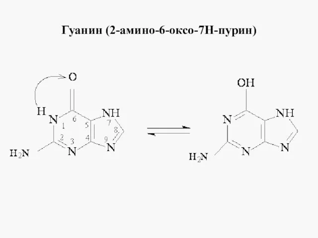 Гуанин (2-амино-6-оксо-7Н-пурин)
