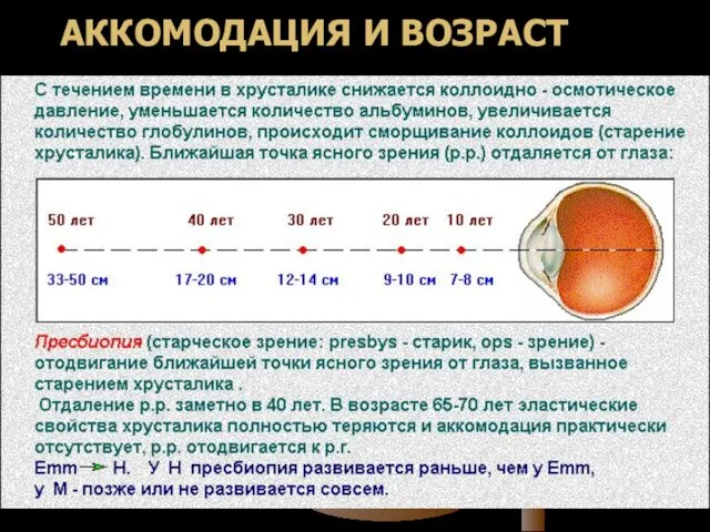 АККОМОДАЦИЯ И ВОЗРАСТ