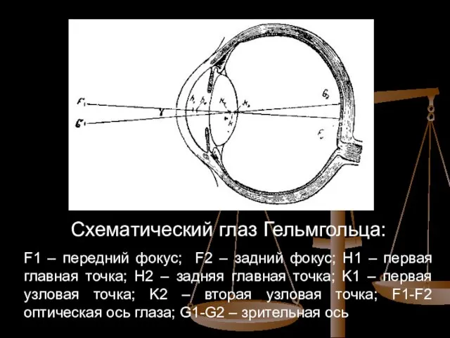 Схематический глаз Гельмгольца: F1 – передний фокус; F2 – задний фокус; H1