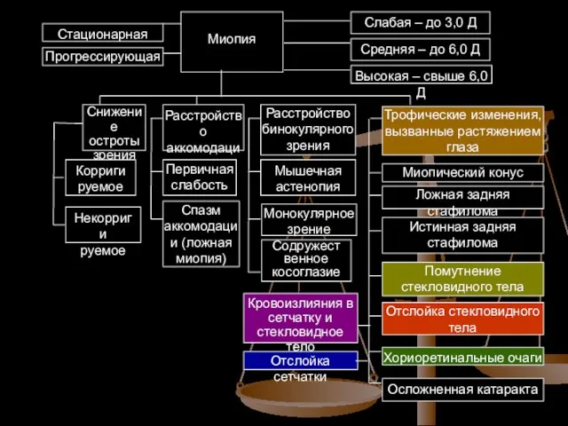 Стационарная Прогрессирующая Миопия Слабая – до 3,0 Д Средняя – до 6,0