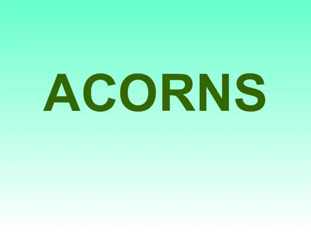 ACORNS