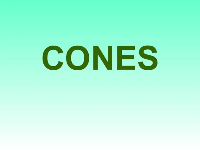 CONES