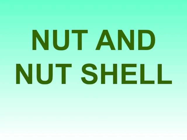 NUT AND NUT SHELL