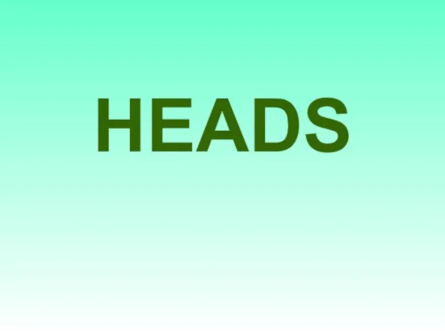 HEADS