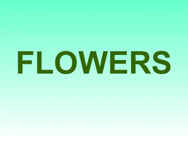 FLOWERS