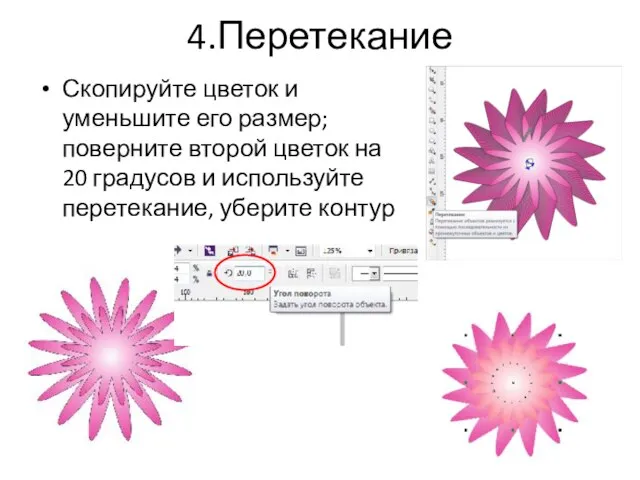 4.Перетекание Скопируйте цветок и уменьшите его размер; поверните второй цветок на 20