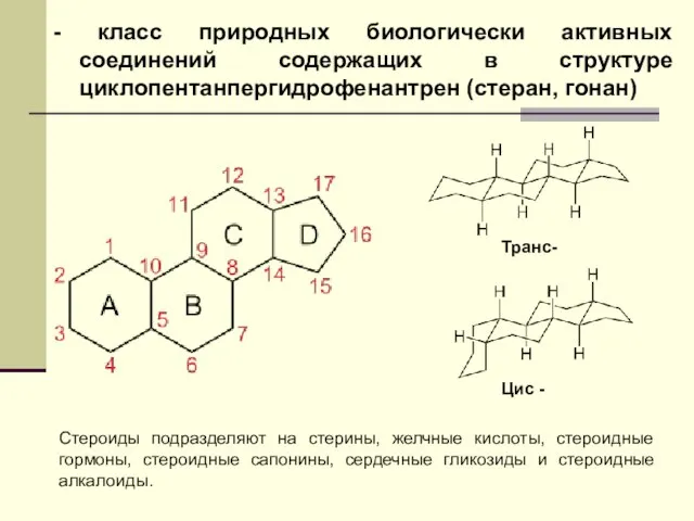 - класс природных биологически активных соединений содержащих в структуре циклопентанпергидрофенантрен (стеран, гонан)