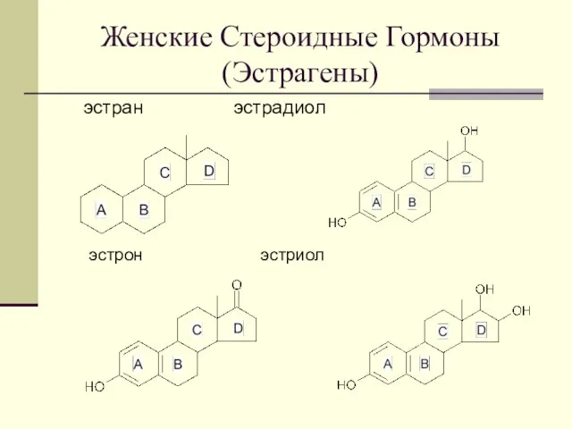 Женские Стероидные Гормоны (Эстрагены) эстран эстрадиол эстрон эстриол