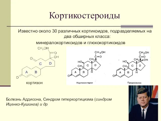 Кортикостероиды Известно около 30 различных кортикоидов, подразделяемых на два обширных класса: минералокортикоидов