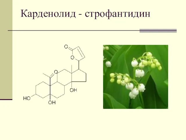 Карденолид - строфантидин